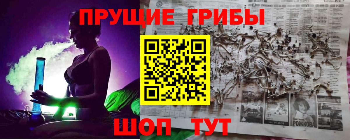где купить   Вход с VPN  Егорьевск  Галлюциногенные грибы мицелий  Псилоцибиновые грибы Magic Shrooms 